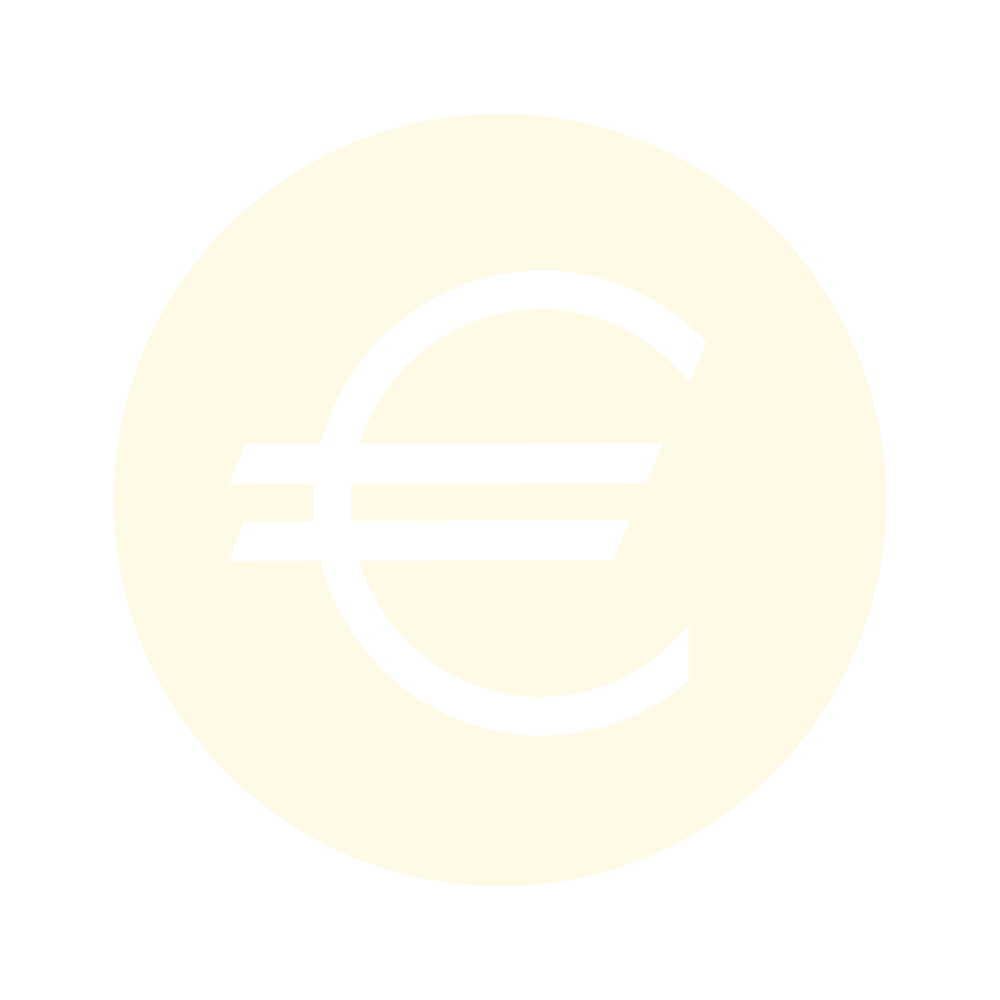 Icona con simbolo euro