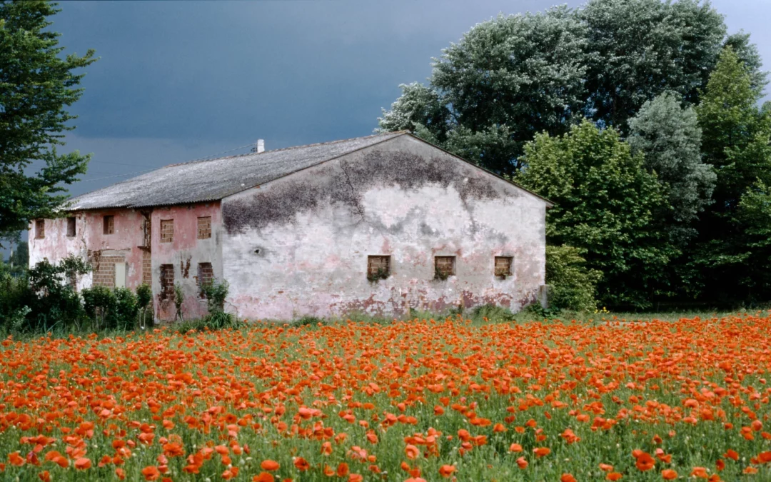 Rustico con ampio terreno – Loreggia